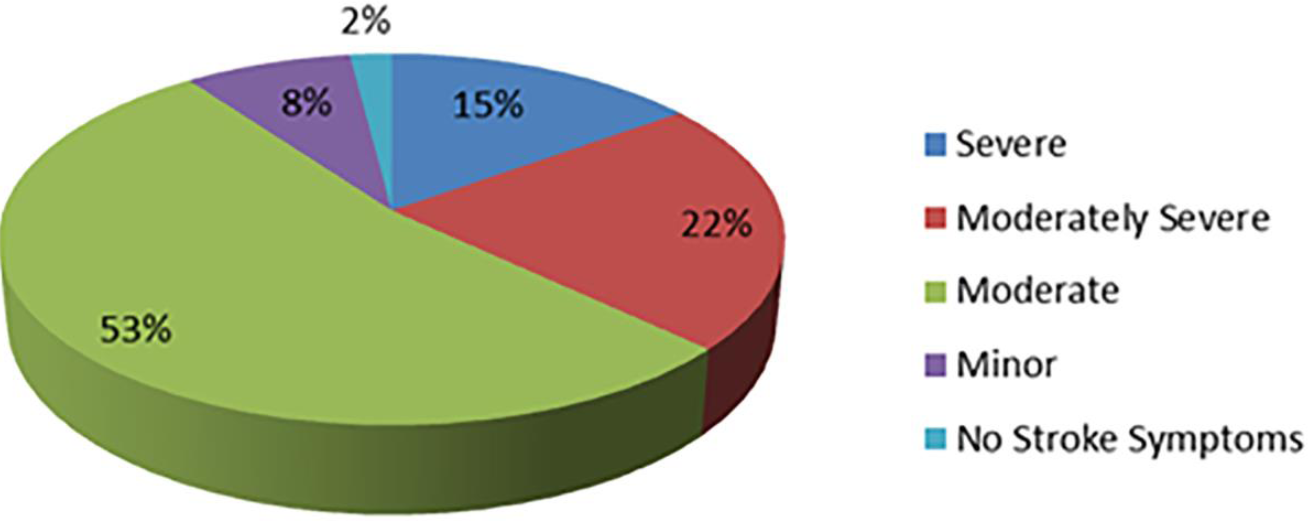 Pie chart showing the grades of severity of strokes assessed by NIH scale